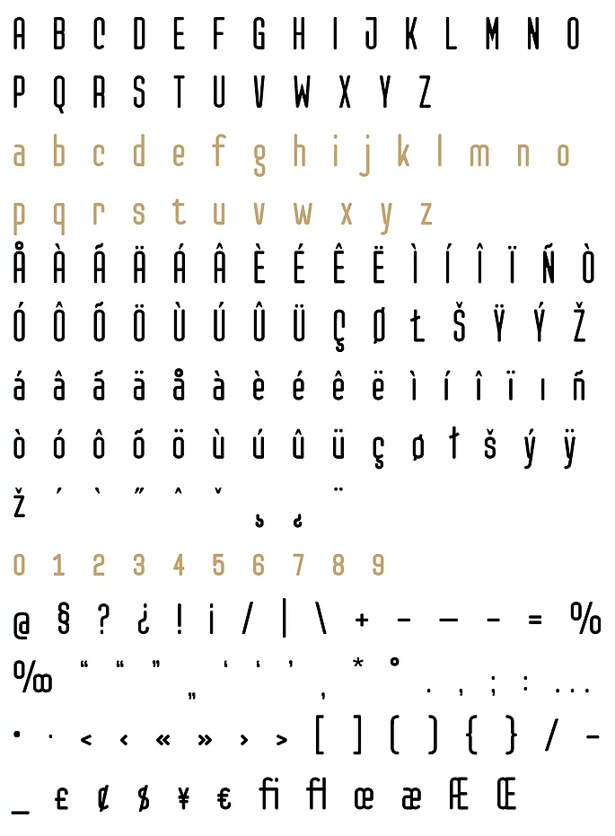 Пример шрифта Checkpoint Light italic